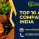 Top 10 Ayurvedic companies in India