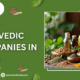 Top 5 Ayurvedic Companies in India